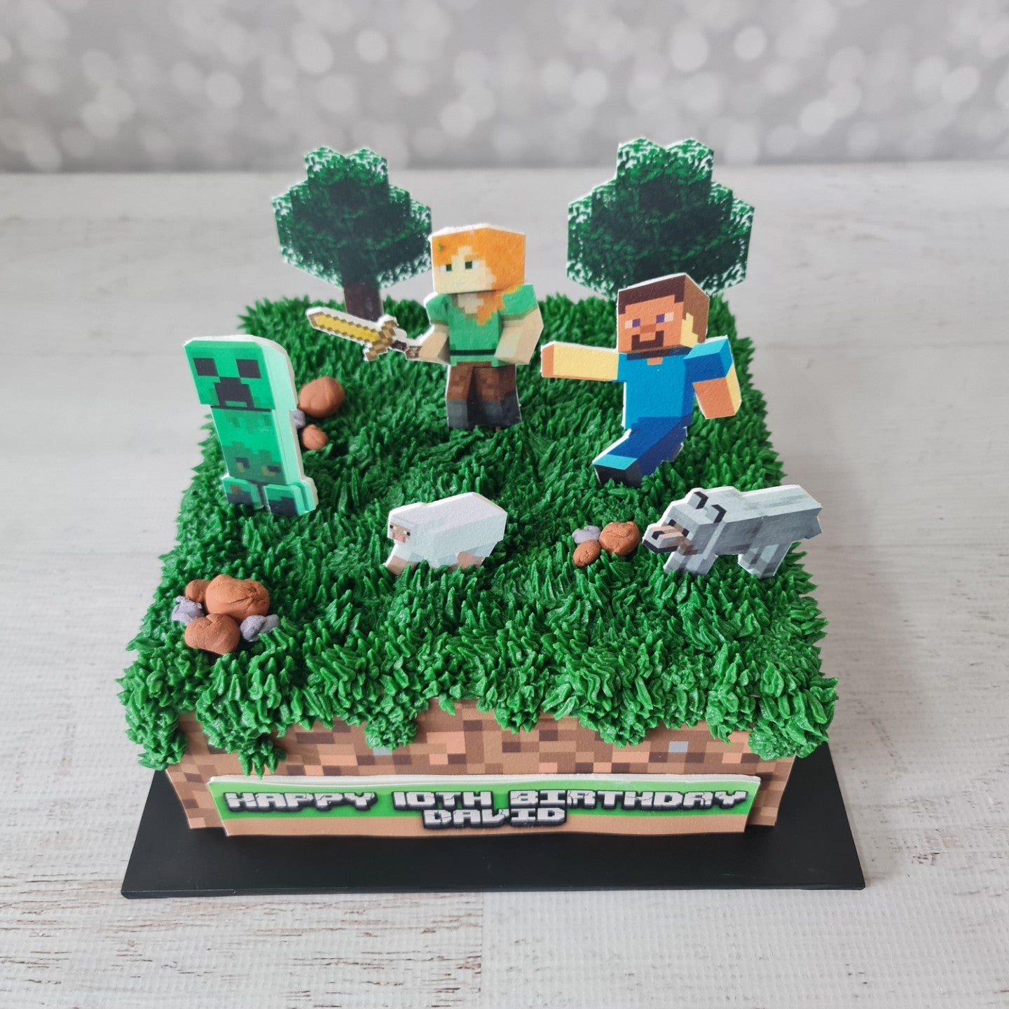 Minecraft David