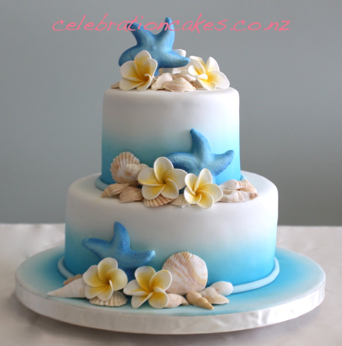 Seashells , cake