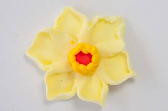 Edible- Daffodil Yellow